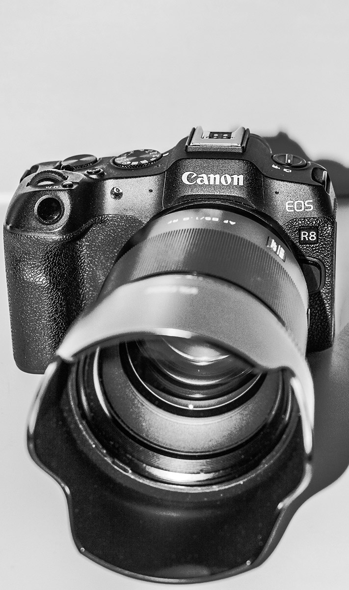 Canon R8 Mirrorless